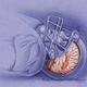 Illustration for article titled Even High School Football Players Are Destroying Their Brains